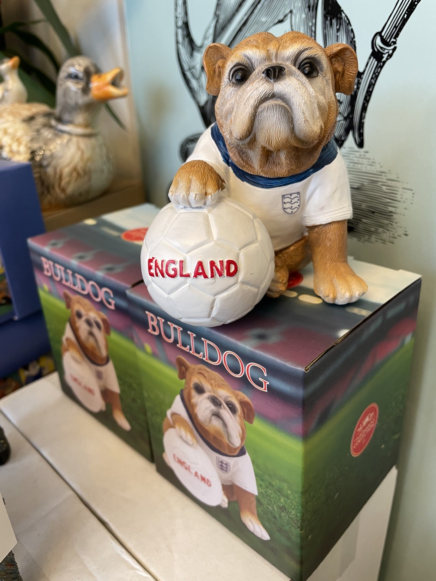 Football Mad English Bulldog - Great gift for football fans and dog lovers
