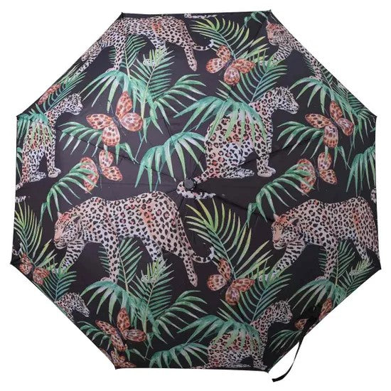 Caramia Auto Open & Close Umbrella - Catchmere
