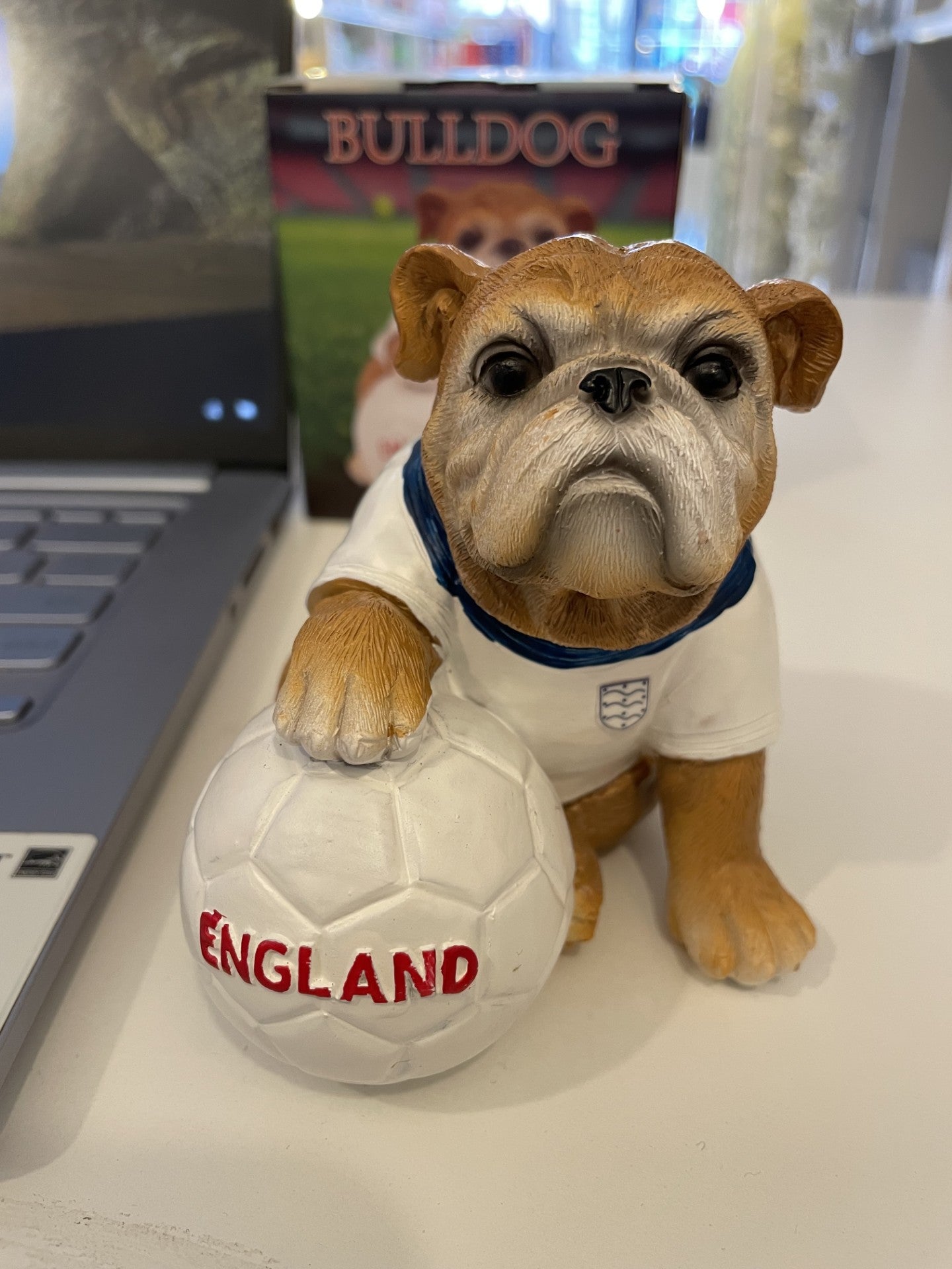 Football Mad English Bulldog - Great gift for football fans and dog lovers