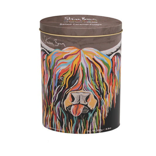 Steven Brown Senga McCoo Salted Caramel Fudge Tin 250g